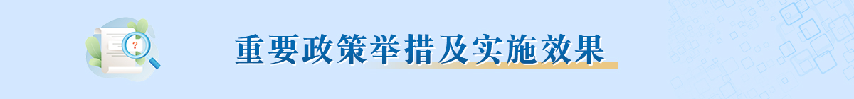 重要政策举措及实施效果