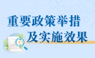 重要政策举措及实施效果